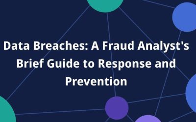 A Fraud Analyst’s Brief Guide to Response and Prevention