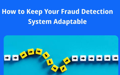 How to Keep Your Fraud Detection System Adaptable