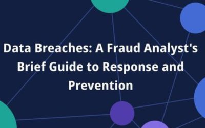 Data Breaches: A Fraud Analyst’s Brief Guide to Response and Prevention